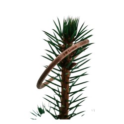 30 pcs Round Leather Bracelets With Personalized Engraving B02